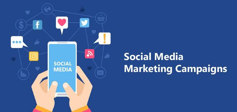 Marketing Campaign & Social Media
